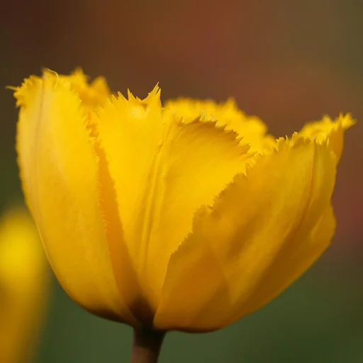 问鼎娱乐博彩牌照